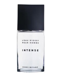 عطر ادکلن ایسی میاکه لئو د ایسه اینتنس مردانه | Issey Miyake L'Eau d'Issey Intense