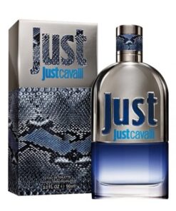 عطر ادکلن روبرتو کاوالی جاست کاوالی مردانه | Roberto Cavalli Just Cavalli Him