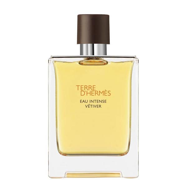 عطر ادکلن هرمس تق هرمس او اینتنس وتیور Hermes Terre D'Hermes Eau Intense Vetiver