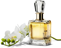 عطر ادکلن تسترها